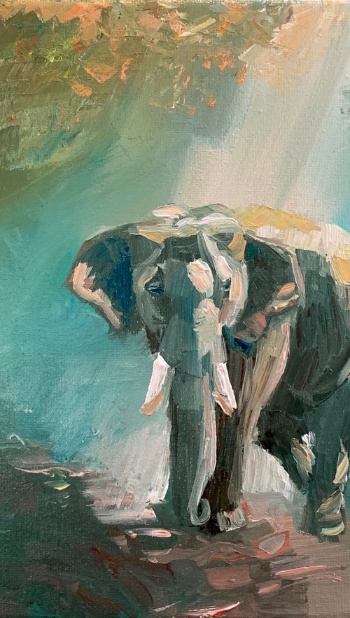 Sleepy Elephant by Ryan Louder