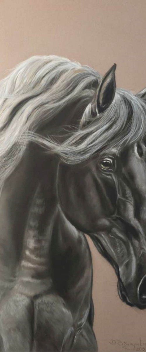 Pastel painting on Paper Horse equines realism  ,, Rico' by Deimante Bruzguliene