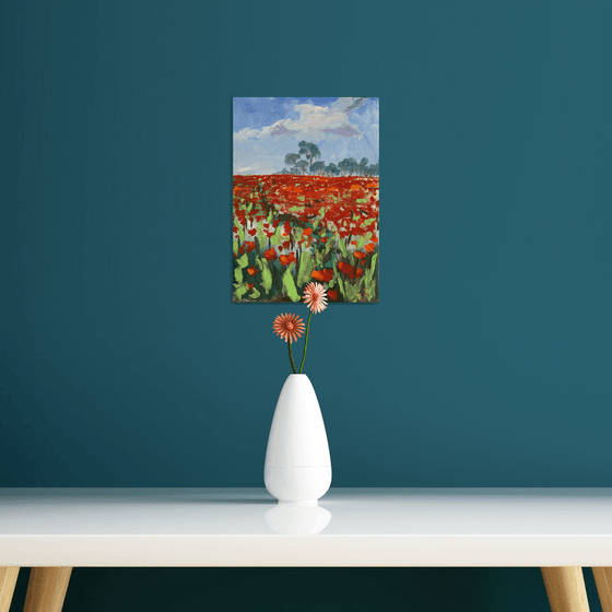 Poppy field.