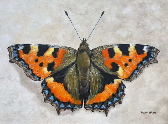 Small Tortoiseshell