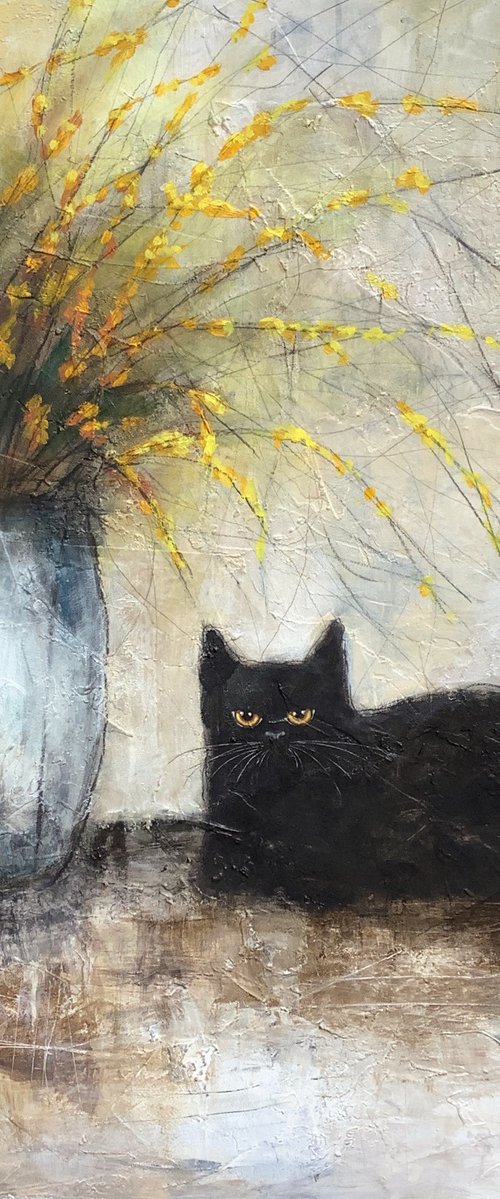 BLACK CATS by Eva Fialka