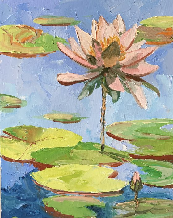 Water Lily. Lilies pond.