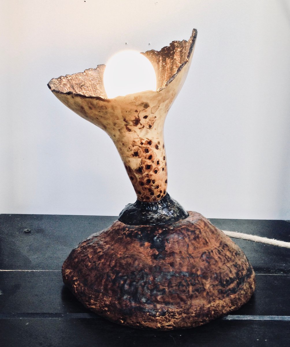 Brut art lamp Echinoa by Eleanor Gabriel