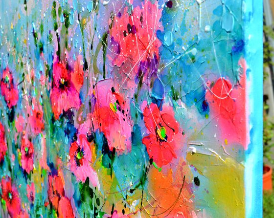 Wild Red Poppy, Poppies Field