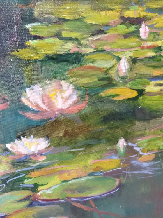 Water Lilies 60x40cm