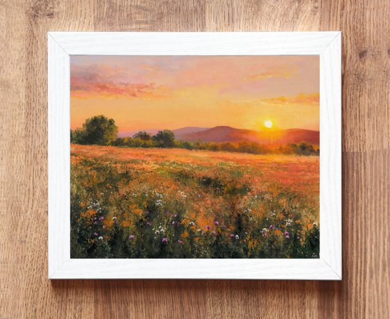 Golden sunset among wildflowers