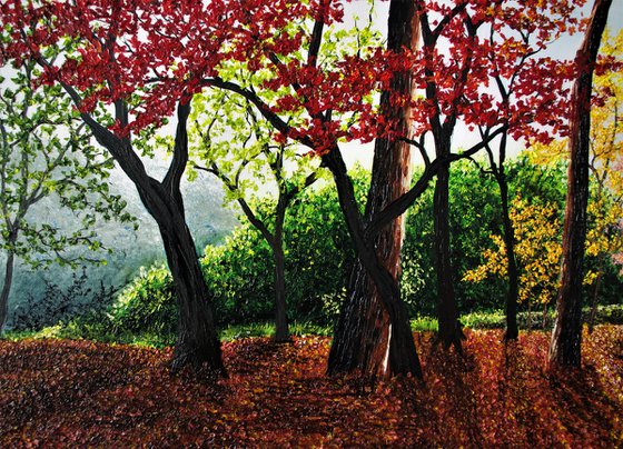 Woodlands in Japan [ shinjuku gyoen]