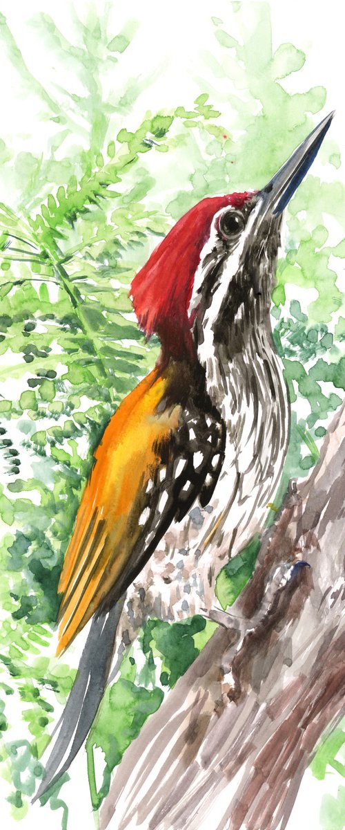 black-rumped flameback woodpecker, original watercolor painting by Suren Nersisyan