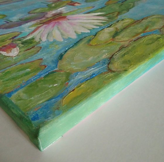 Water Lily