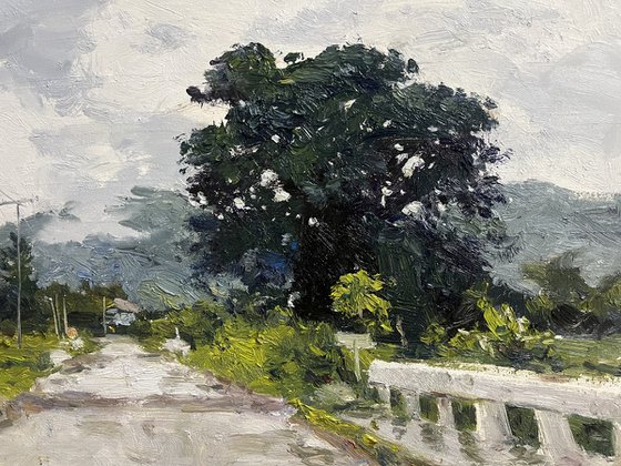 Low Clouds on a Rainy Day