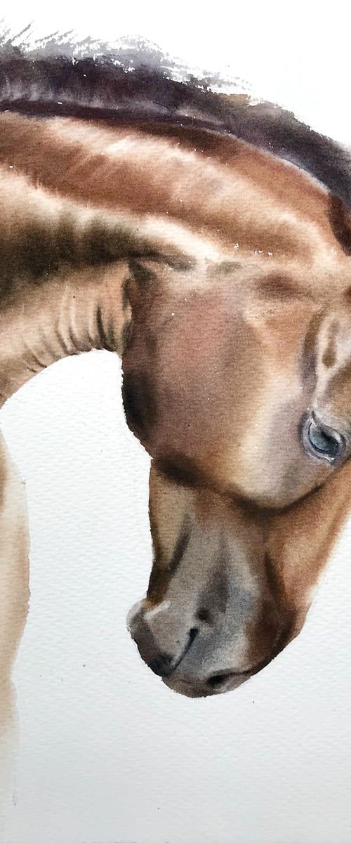 Horse portrait by Eugenia Gorbacheva
