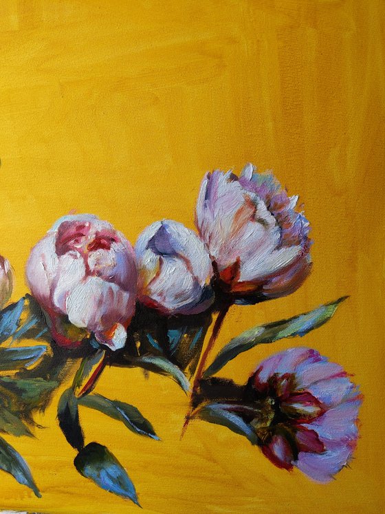 Peonies on the golden yellow