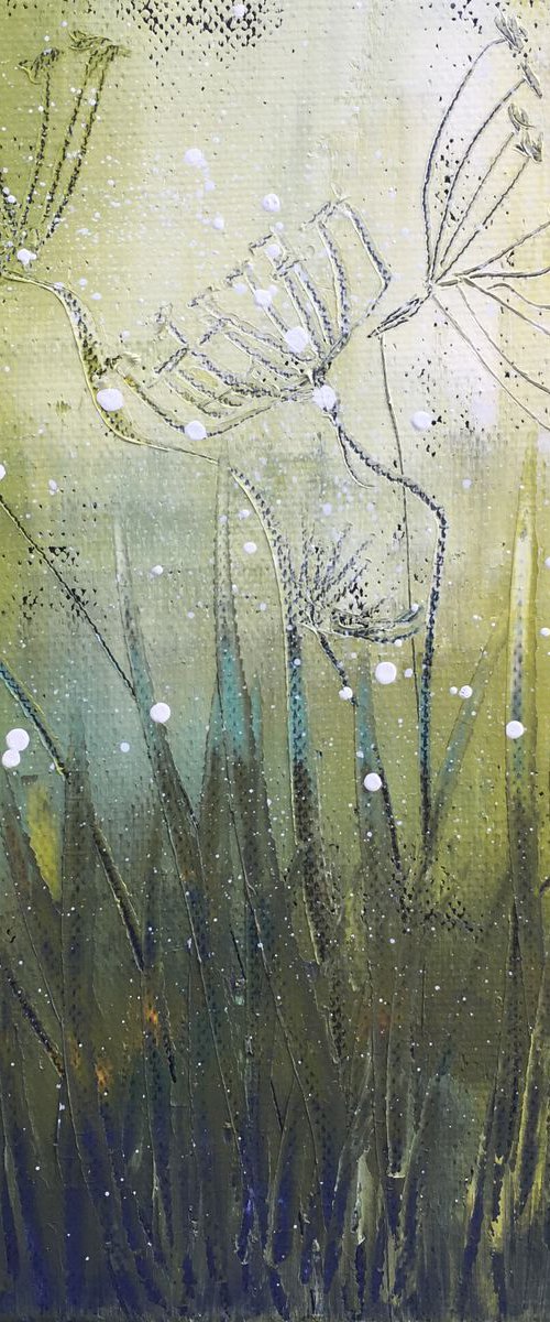 Little Green Poppy Seeds by Laure Bury