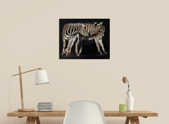 Zebras family