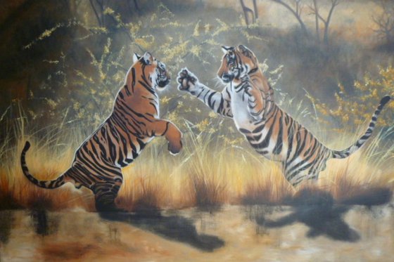 'Sparring Tigers'