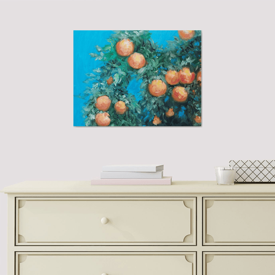 Orange tree in the sun