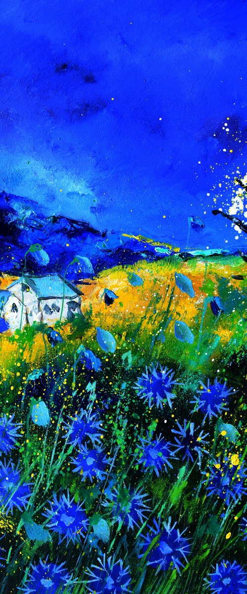 Blue cornflowers by Pol Henry Ledent