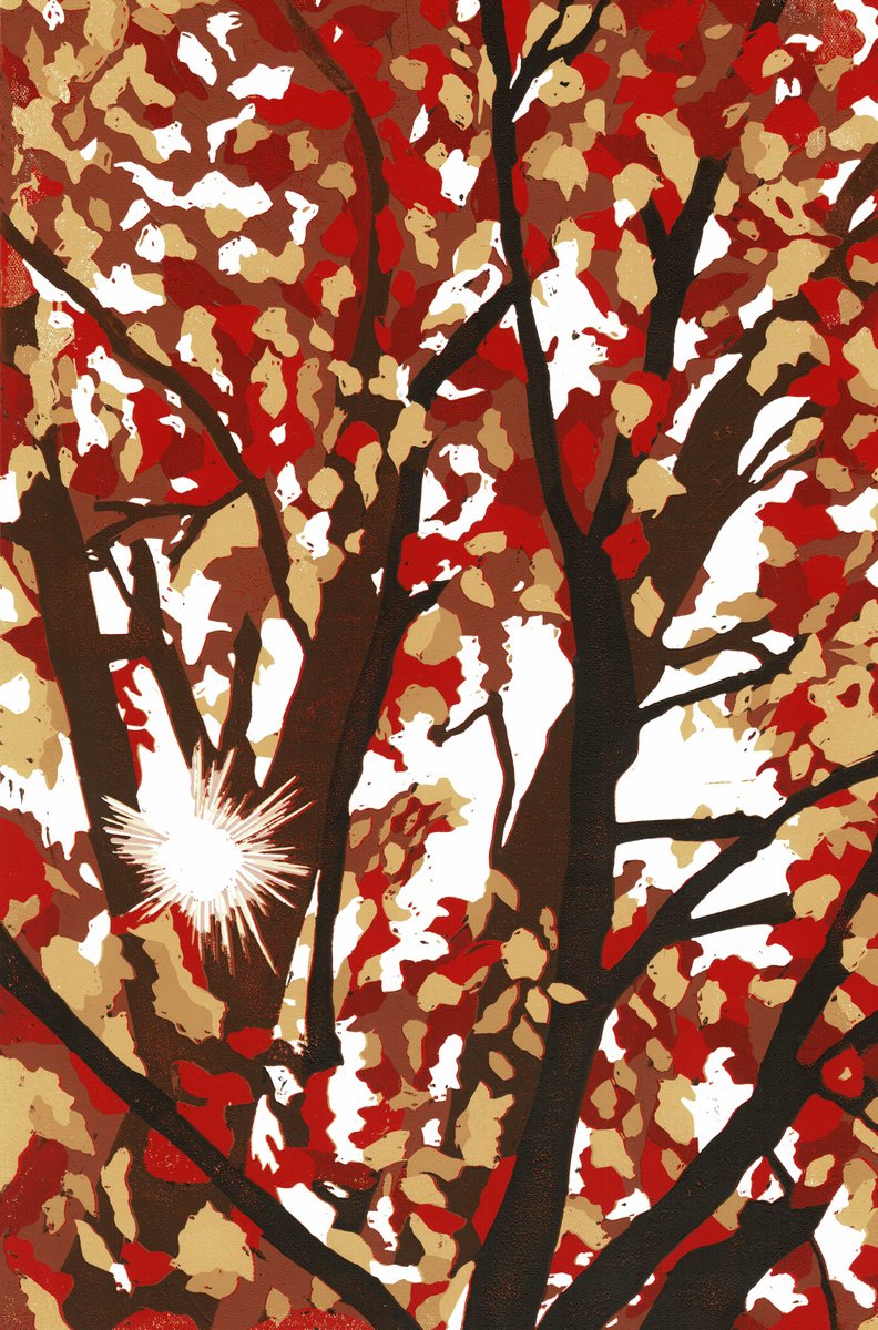 Autumn Leaves (Limited Edition 7 Prints) by Joanne Spencer