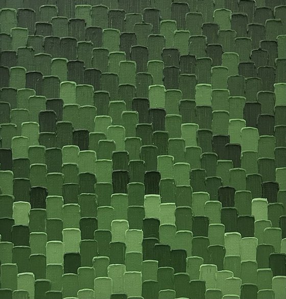Quiet Forest Pines
