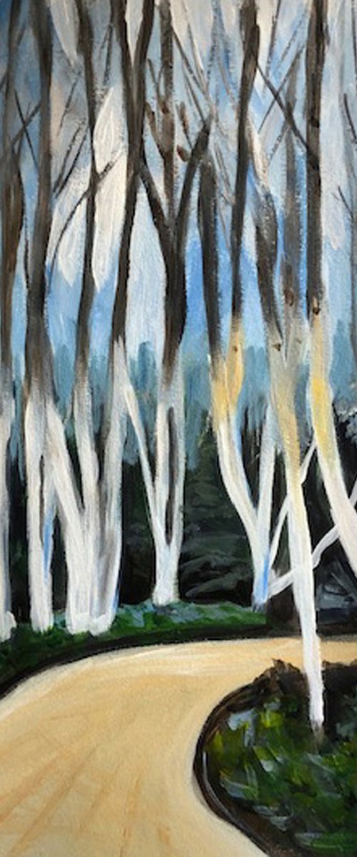 Birch Forest by Anne Bannell