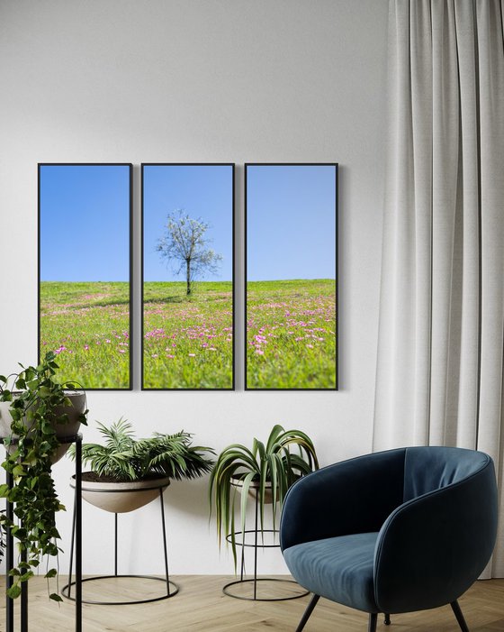 Garden View, Triptych