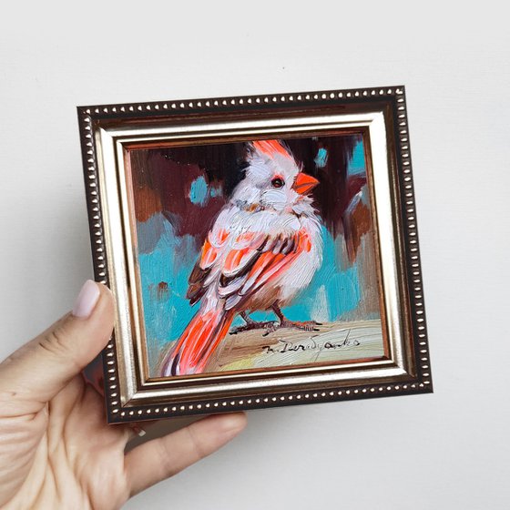 Cardinal red white bird oil painting original 4x4 framed artwork Albinos Bird small