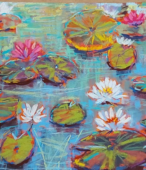 Water lily pond by Silvia Flores Vitiello