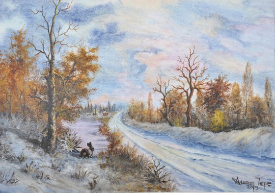 The hare in winter