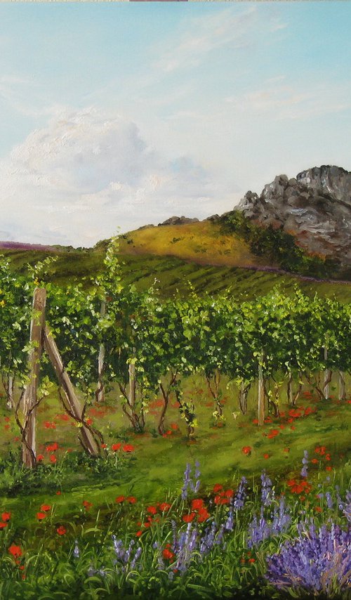 Lavender Field and Vineyard by Natalia Shaykina