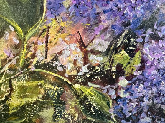 In the Spring Sunshine