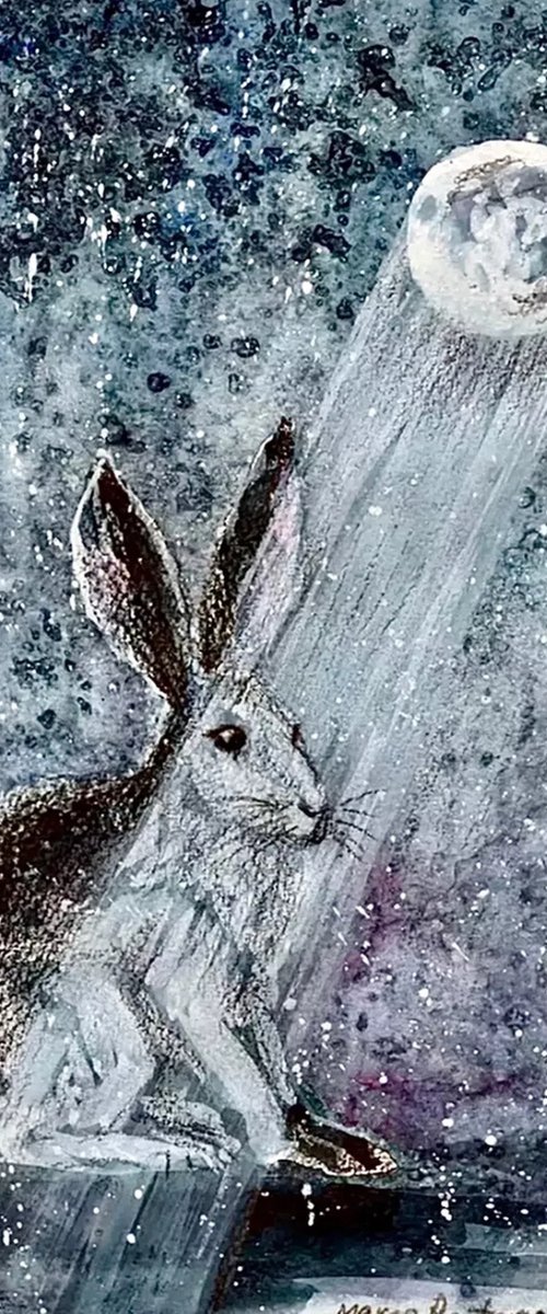Moon Hare by Morgana Rey