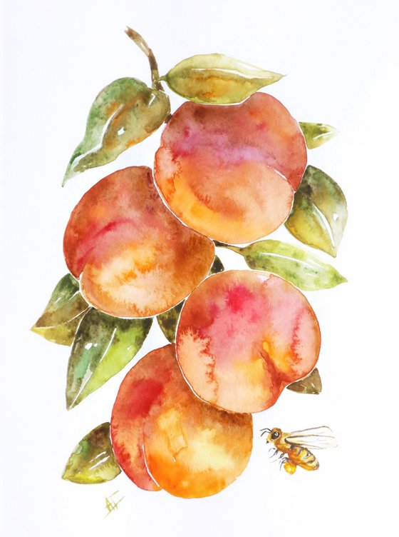 Watercolor peaches and bee illustration, fresh summer and green leaves