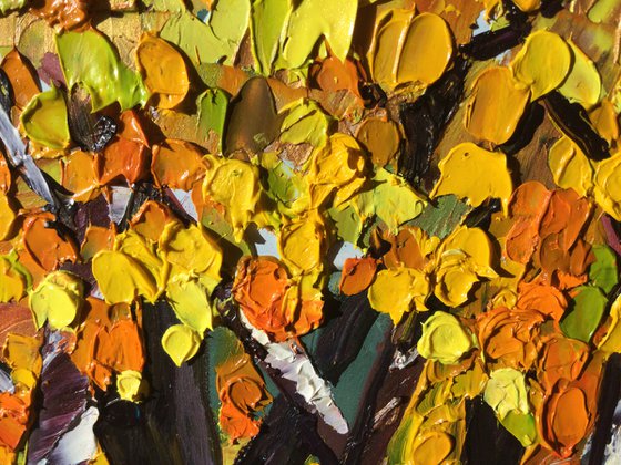 Birch Canopy