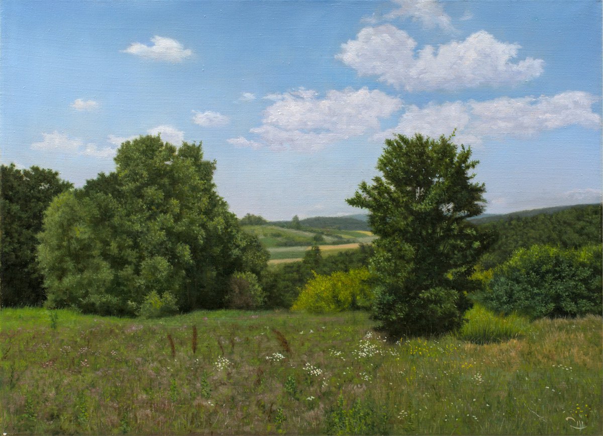 Photorealistic Landscape Oil Painting By Dejan Trajkovic, 35 X 28, The Meadow In Summer, Original Artwork