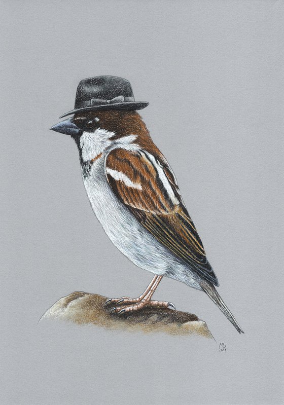 Original pastel drawing bird "Italian sparrow"