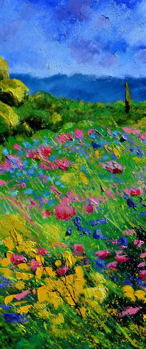 Wild flowers in Tuscany by Pol Henry Ledent