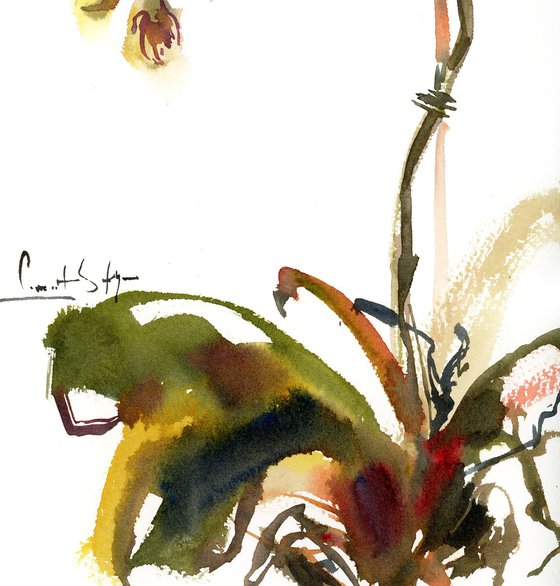 Orchids