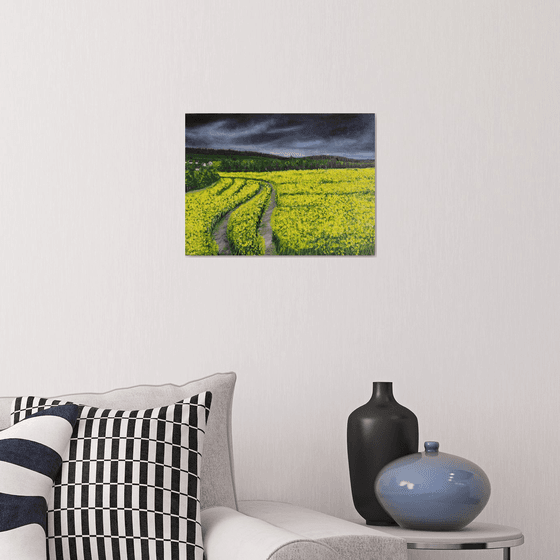 Rapeseed fields