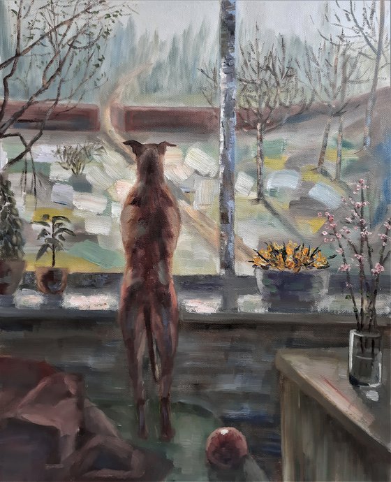 Waiting-red dog at the window, spring mood.