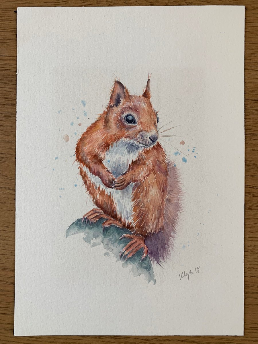 Red squirrel Watercolour by Kathryn Coyle