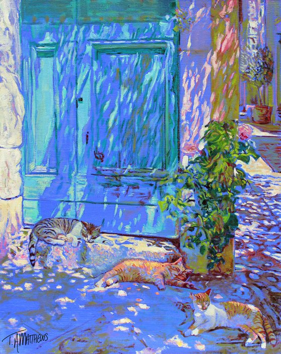 Kitty’s in Provence #1