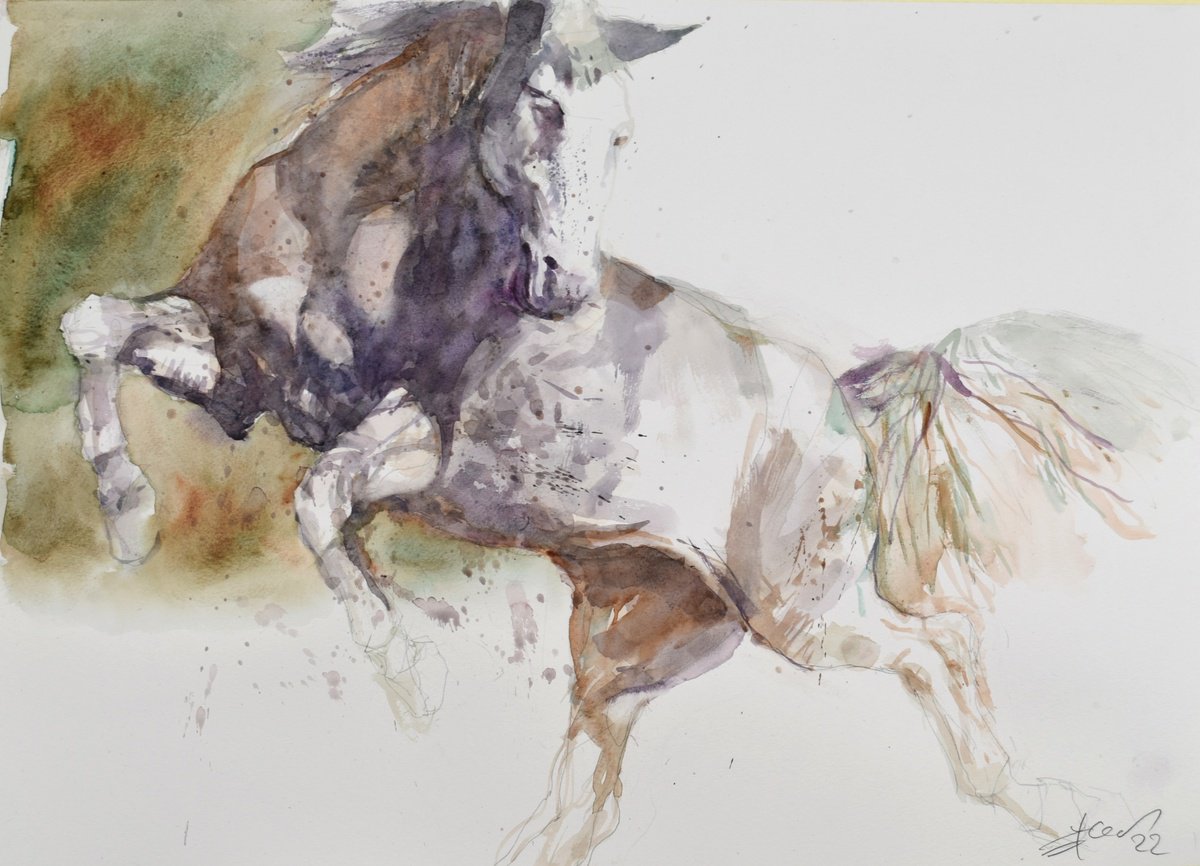 Horse in the run 5 (70x50) by Goran igoli? Watercolors