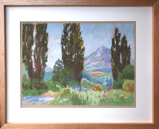 Morning in the Pyrenees