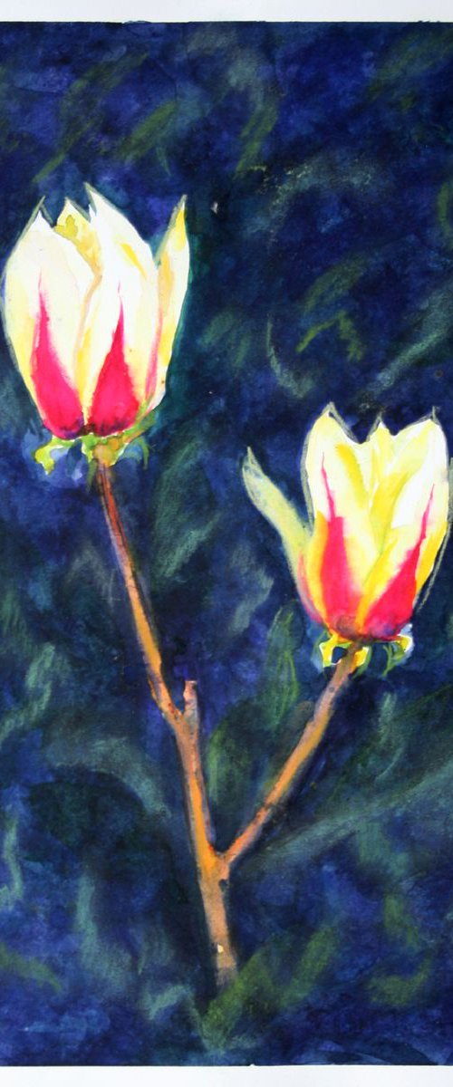 Warm evening... Magnolia in the night... /  ORIGINAL PAINTING by Salana Art Gallery