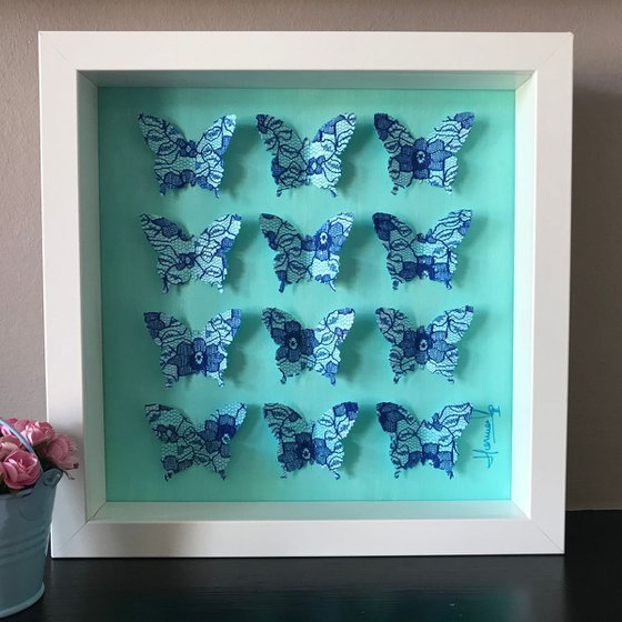 Box of beauties (Blue Lace)