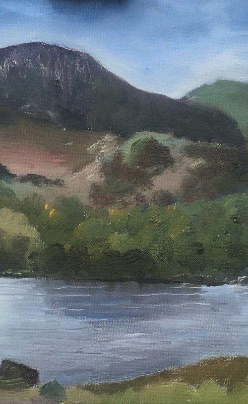 Mountain lake near Bala by Julian Lovegrove Art