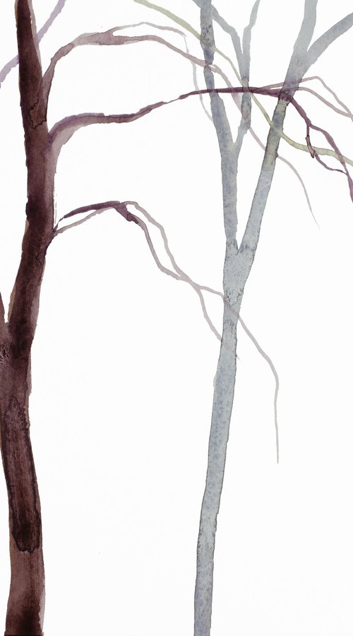 Tree Study No. 38 by Elizabeth Becker