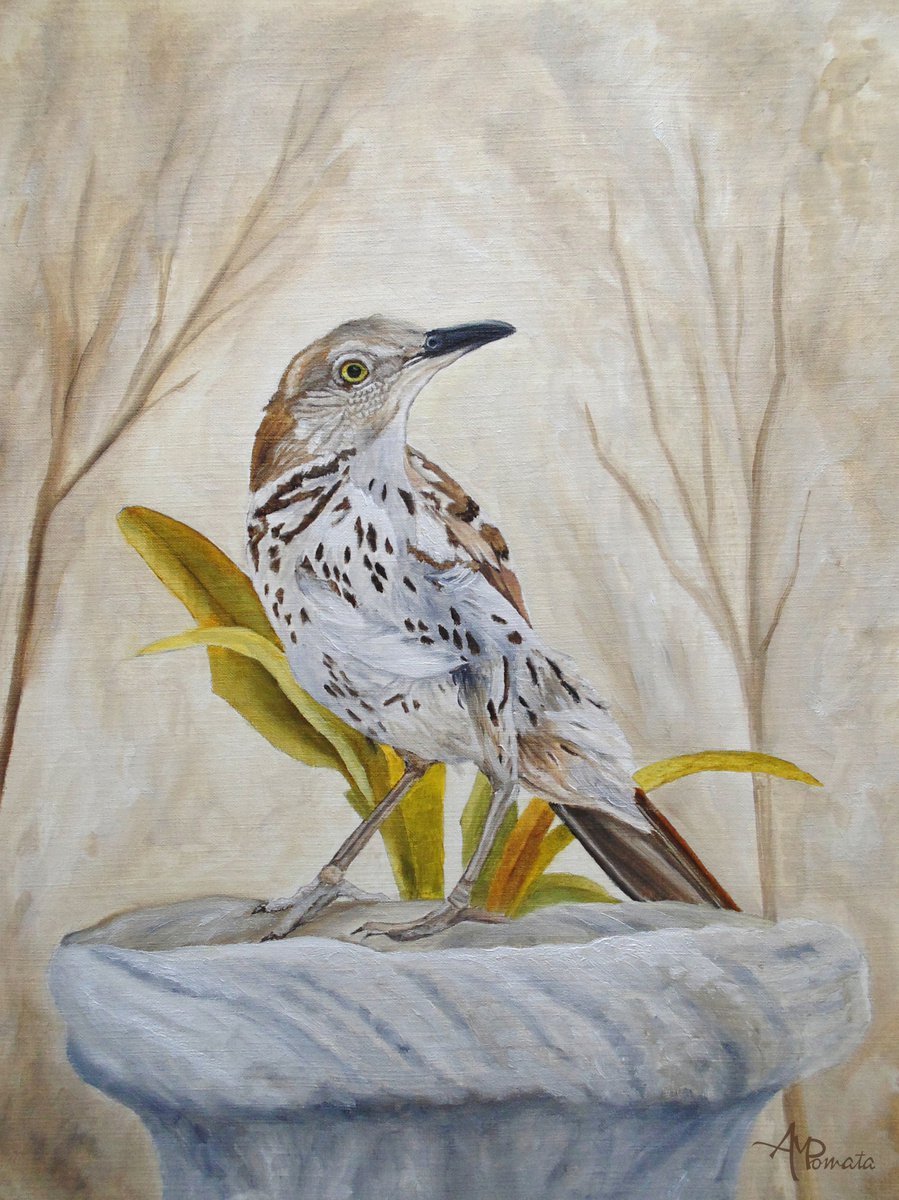 Impressionistic Animal Oil Painting By Angeles M. Pomata, 10 X 13, Early Brown-Thrasher, Original Artwork