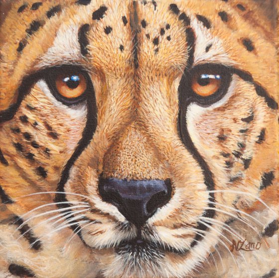 Cheetah portrait Acrylic painting by Norma Beatriz Zaro