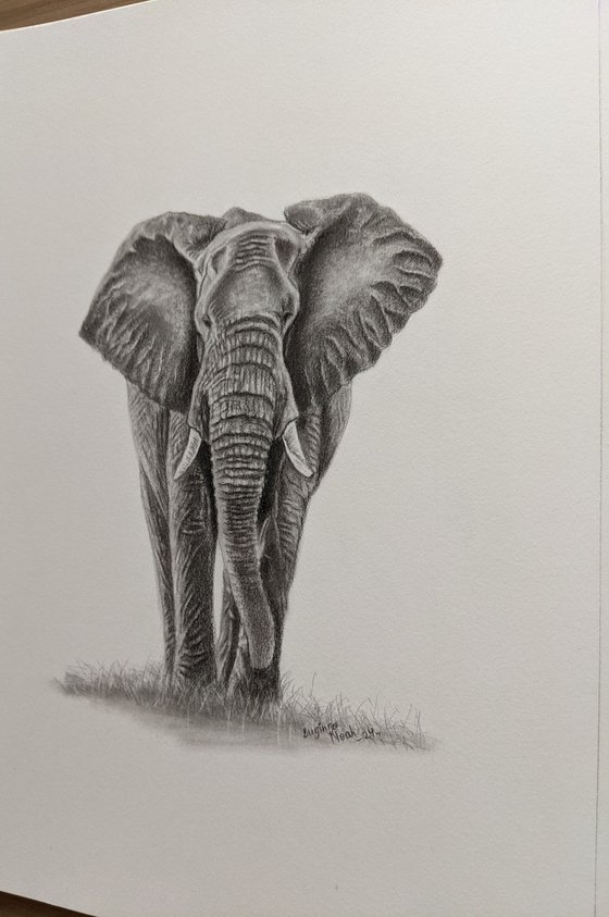 ELEPHANT